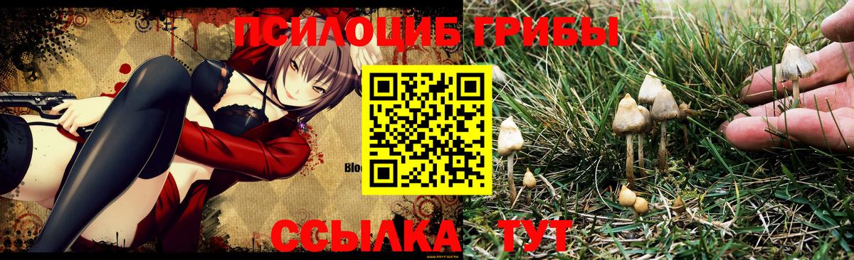 Вичуга  Псилоцибиновые грибы Magic Shrooms  Вход с VPN 